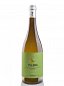 Yllera Verdejo Vendimia Nocturna 